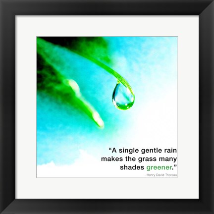 Framed Single Gentle Rain - Henry Thoreau Quote (Droplet) Print