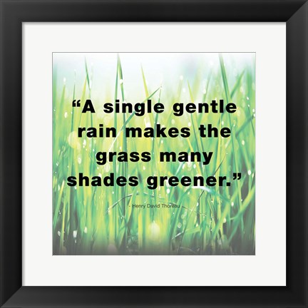 Framed Single Gentle Rain - Henry Thoreau Quote (Light) Print