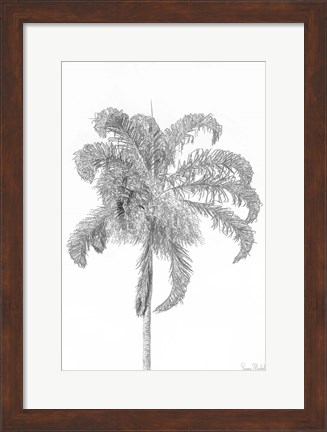 Framed Swaying Palm III Print