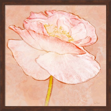 Framed Sweet Peach Poppy I Print