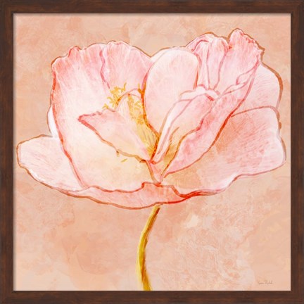 Framed Sweet Peach Poppy III Print