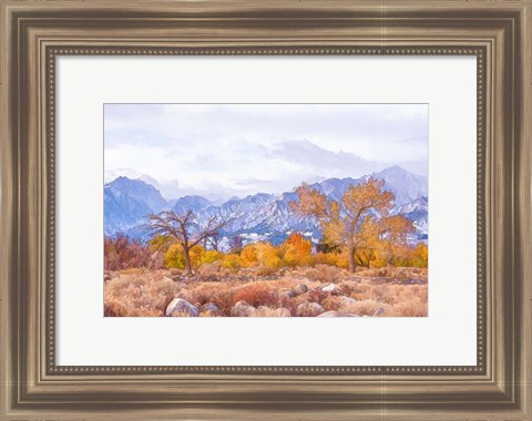 Framed High Desert Vista IV Print