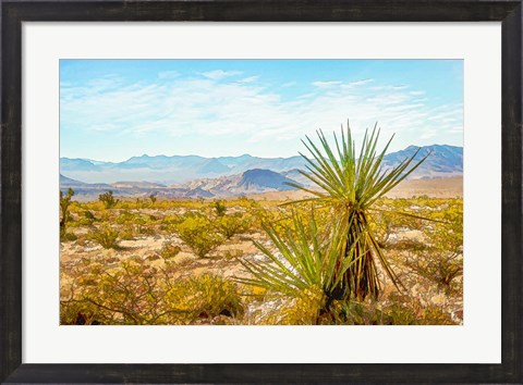 Framed Utah Desert Yucca Print