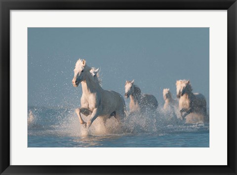 Framed Angels Of Camargue 2 Print