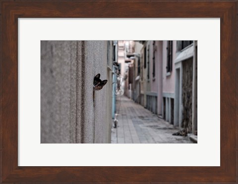 Framed Dantel Street Cat Print