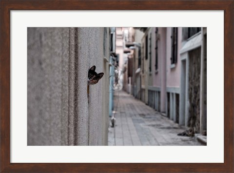 Framed Dantel Street Cat Print