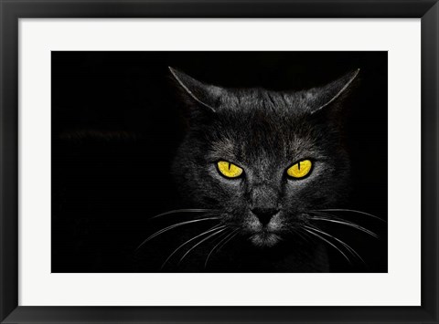 Framed Black Cat Print