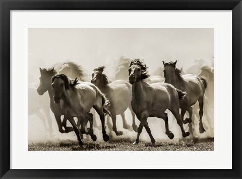 Framed Horse Print