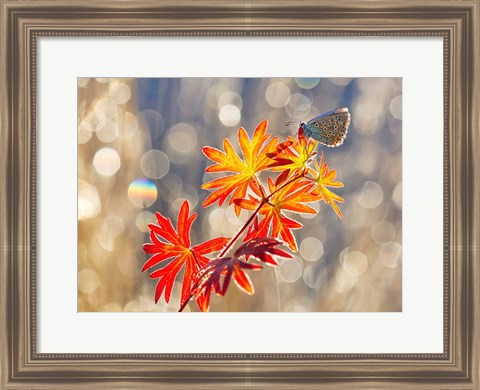 Framed September Moments Print