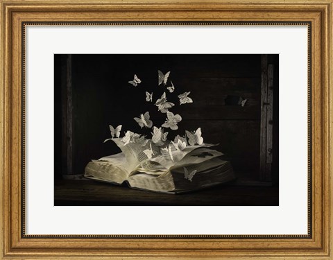 Framed Lepidopterology Print