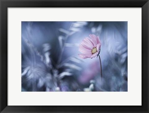 Framed Walk In Dreamland Print