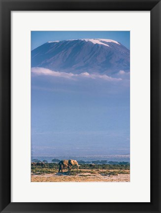 Framed Kilimanjaro And The Quiet Sentinels Print