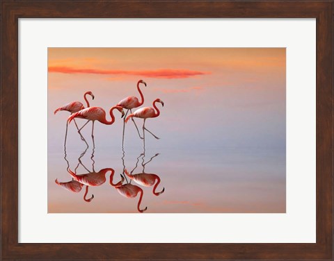 Framed Flamingos Family Print