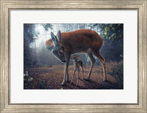 Framed Mother And Fawn Print