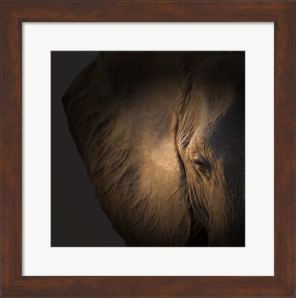 Framed Gentle Giant Print