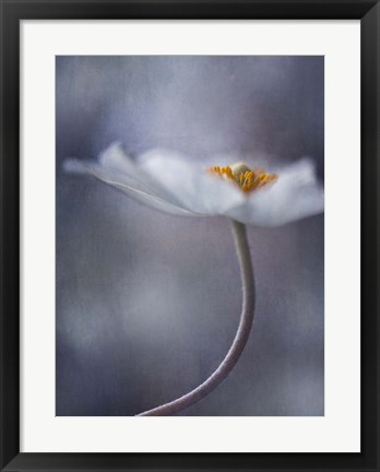 Framed Beauty Within Print