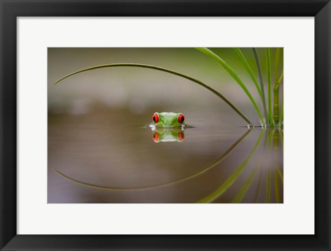 Framed Beauty Of Reflection Print