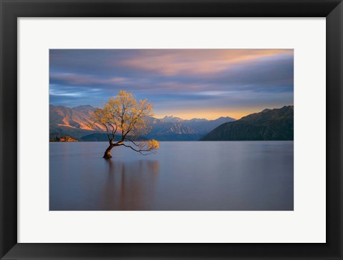 Framed Morning Glow Print