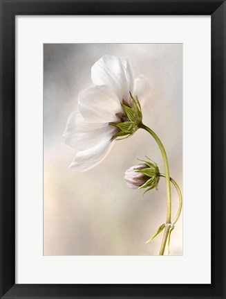 Framed Heavenly Cosmos Print