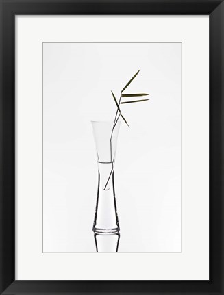 Framed Bamboo Print