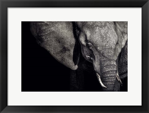 Framed Matriarch Print