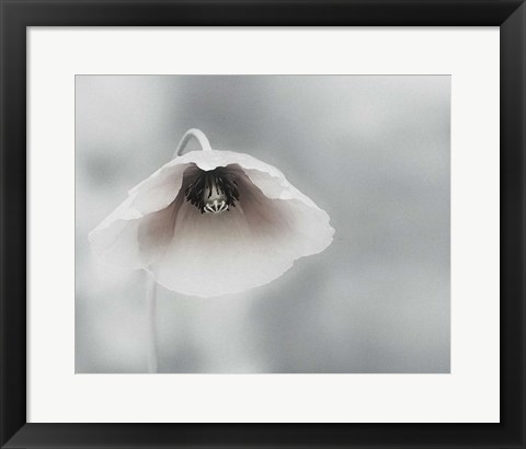 Framed Ephemeral Beauty Print