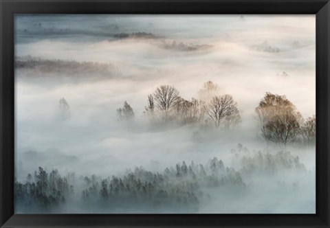 Framed Winter Fog Print