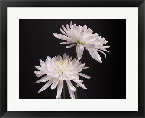 Framed Simple Beauty Print