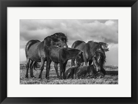 Framed Happy Family Print