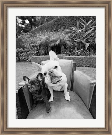 Framed Always Friends Print