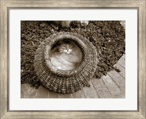 Framed Cat in a Basket Print