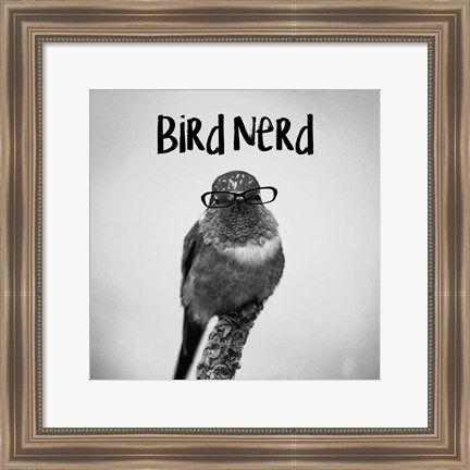 Framed Bird Nerd - Hummingbird Print