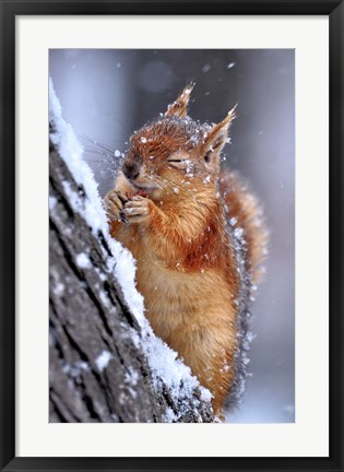 Framed Winter Print