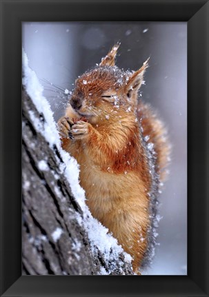 Framed Winter Print