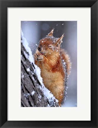 Framed Winter Print