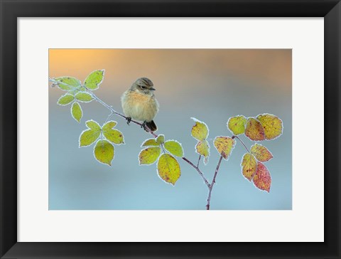 Framed Winter Colors Print