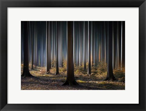 Framed Mystic Wood Print