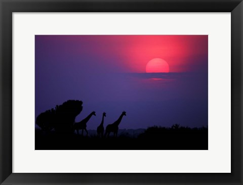 Framed Sunrise In Uganda Print