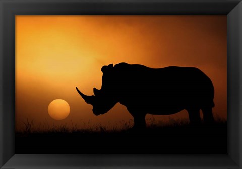 Framed Rhino Sunrise Print