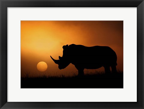 Framed Rhino Sunrise Print