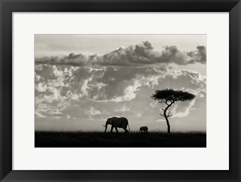 Framed Silhouettes Of Mara Print