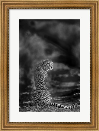 Framed Look Back Print