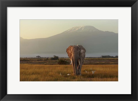 Framed Under The Roof Of Africa Print