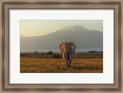 Framed Under The Roof Of Africa Print