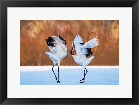 Framed Dance Of Love Print