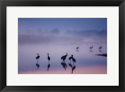 Framed Enchanted Serenity Print