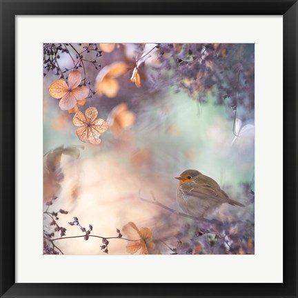 Framed Hydrangea Fantasy Print