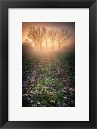 Framed Misty Morning Print