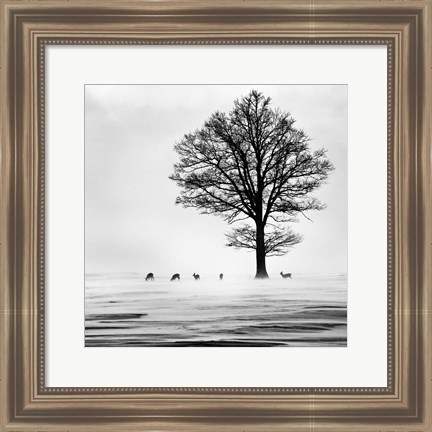 Framed Roes Print