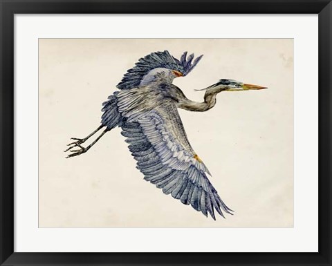 Framed Blue Heron Rendering IV Print